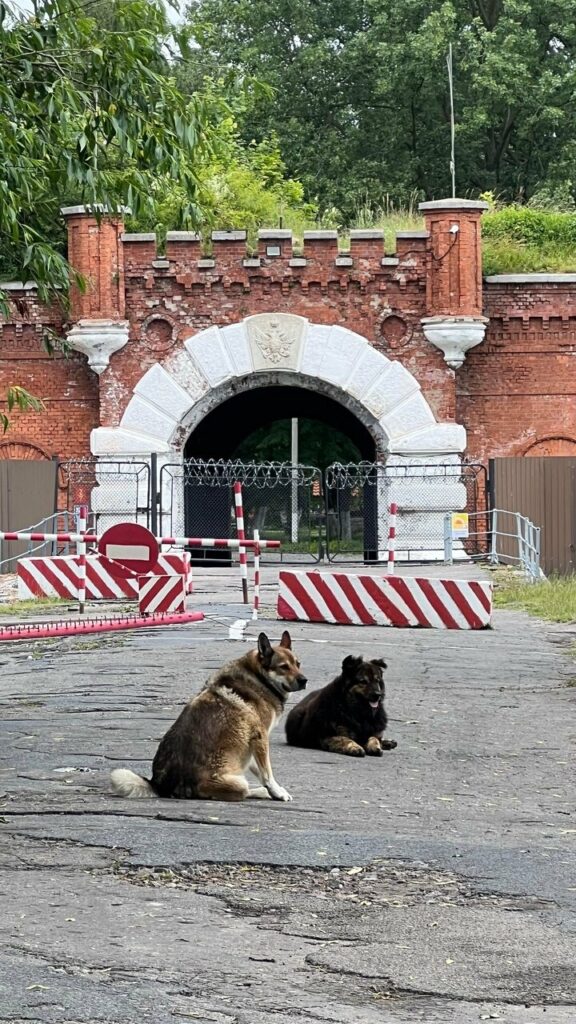 Внутренний двор цитадели